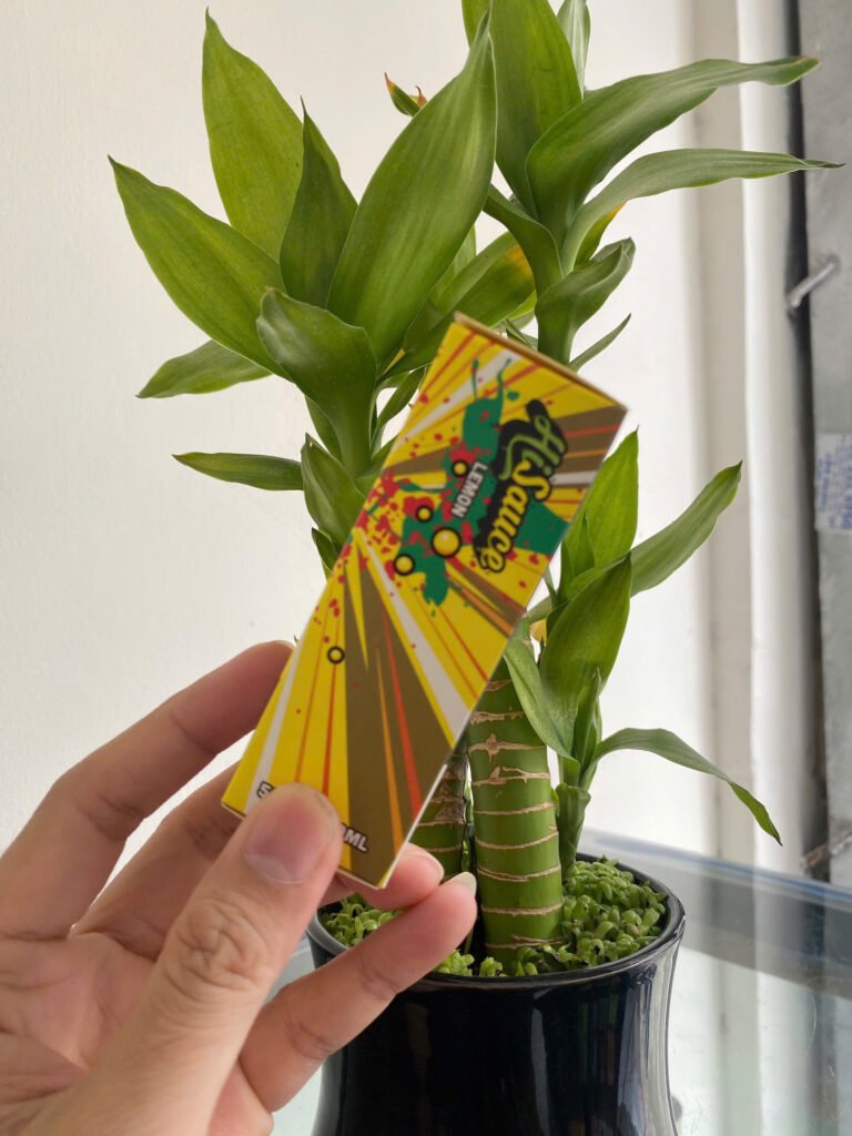 bảo quản tinh dầu