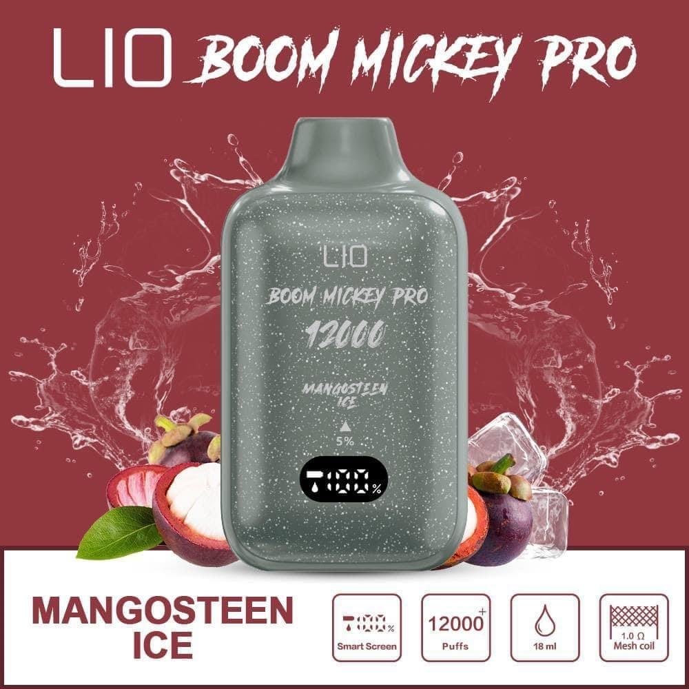 Ijoy Lio Boom Mickey