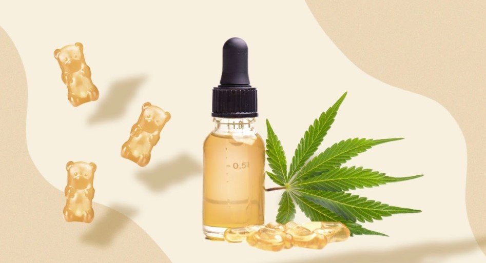 Tinh Dầu CBD Vape Là Gì? Sử Dụng Tinh Dầu Pod CBD Có Bị Cấm Không? tinh dầu cbd