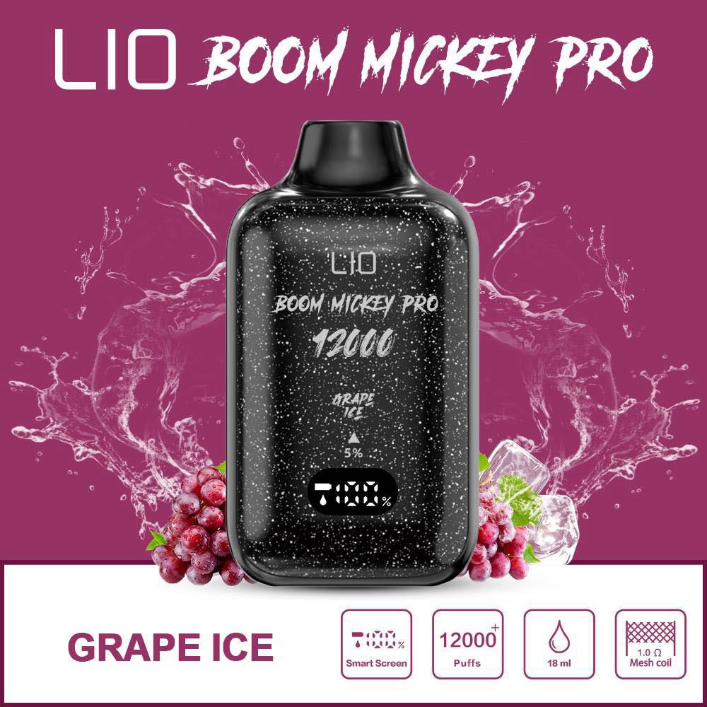 Ijoy Lio Boom Mickey