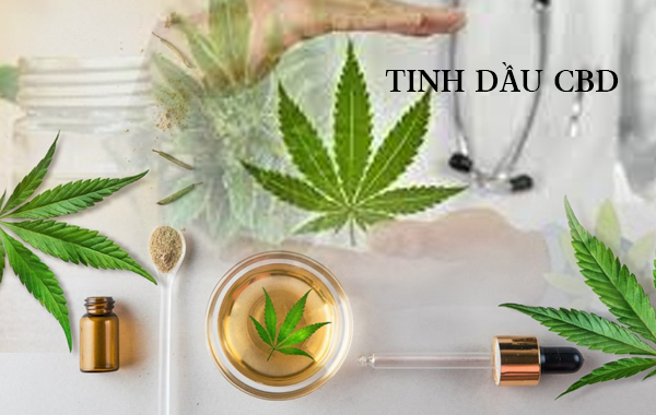 Tinh Dầu CBD