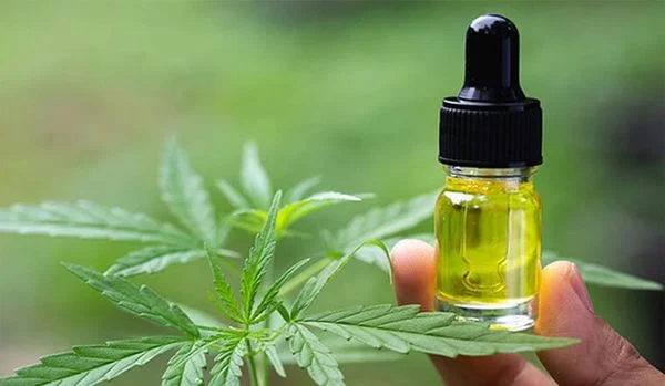 Tinh Dầu CBD