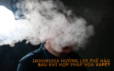 Hợp Pháp Hóa Thuốc Lá Điện Tử tại Indonesia: Khơi Mở Thị Trường Đầy Tiềm Năng và Cạnh Tranh Lành Mạnh