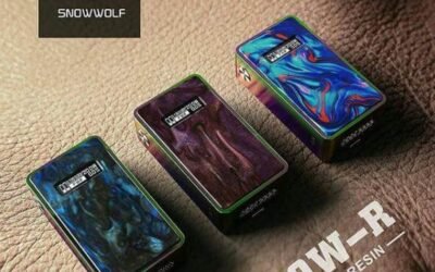 Tổng quan về thương hiệu SnowWolf