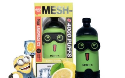 Meshking Pod Minion 4000 Hơi – Pod 1 Lần